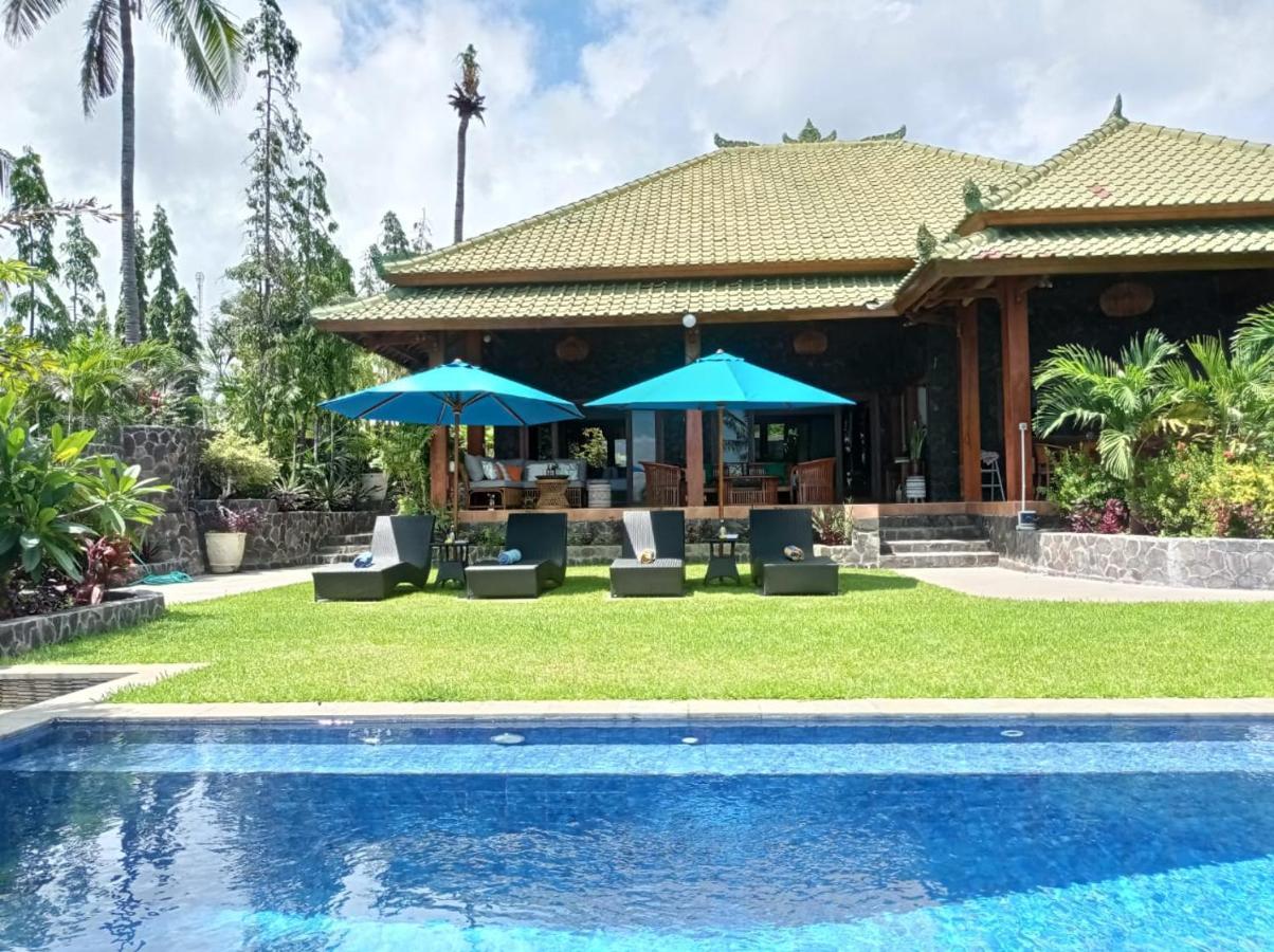 Absolute Beachfront, Paradise, 3Br Villa With Private Pool On 1200M2 Of Tropical Land Туламбен Экстерьер фото